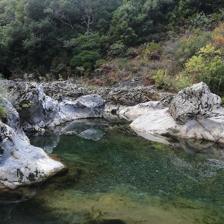 Gite De Kate Albieres 外观 照片